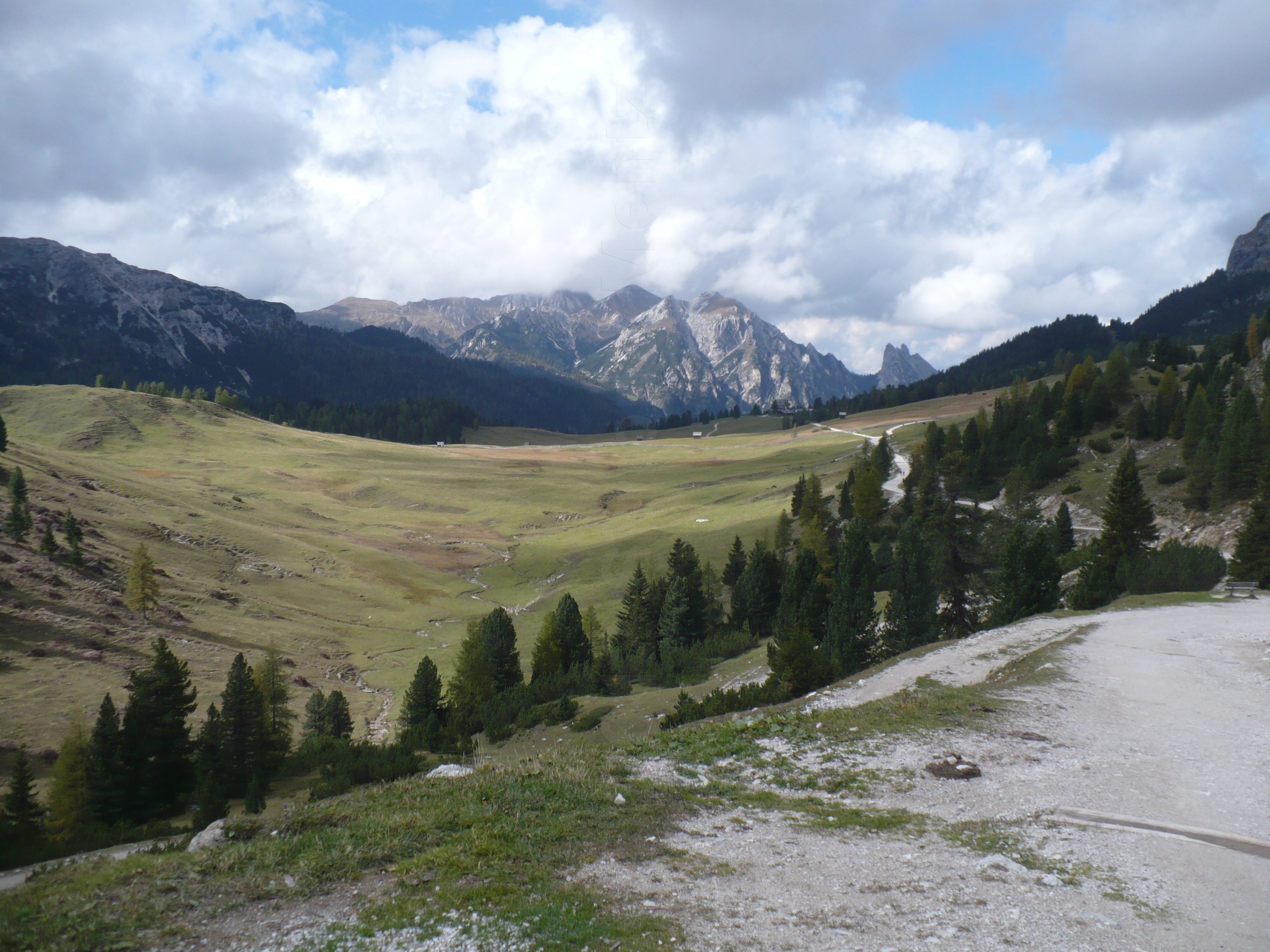 Images/3 Suedtirol_ Ploetzwiese (152).jpg